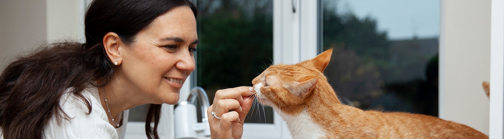 Animal é Tri - *MEDICAMENTOS PARA ANIMAIS CARDIOPATAS/HIPERTENSOS* Para  peludinhos que estejam sob responsabilidade de Voluntários, sejam  independentes ou de algum grupo, temos as medicações do cartaz disponíveis  para doação. Por favor